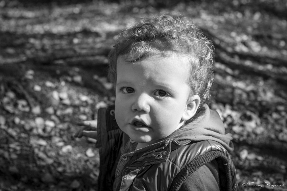 Photographie d'un petit garçon en bas âge dans la forêt en auvergne - portrait un photographe professionnel de clermont-ferrand. © Fanny Reynaud